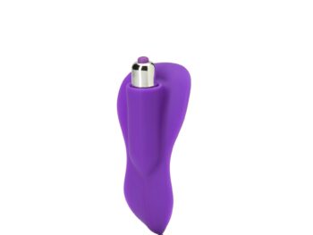 Panty Play Vibrator